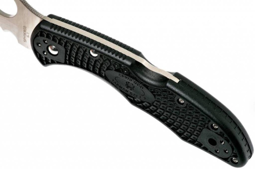Складной нож Spyderco Tasman Salt 2 - 106SBK2 фото 3
