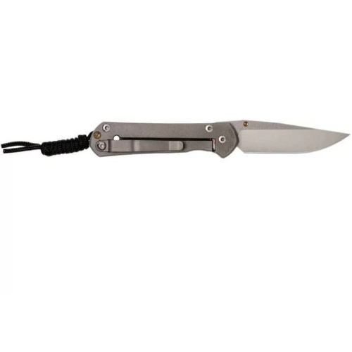 Складной нож Chris Reeve Large Sebenza 21 Gold фото 7 Складной нож Chris Reeve Large Sebenza 21 Gold фото 7